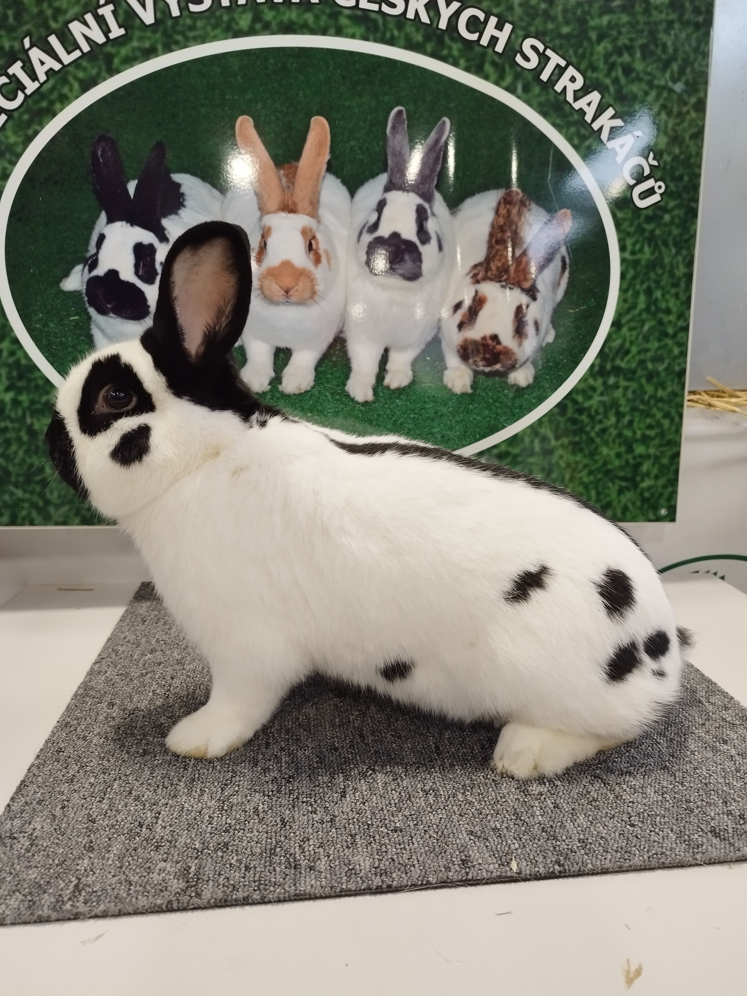 IMG_20251121_113238_1