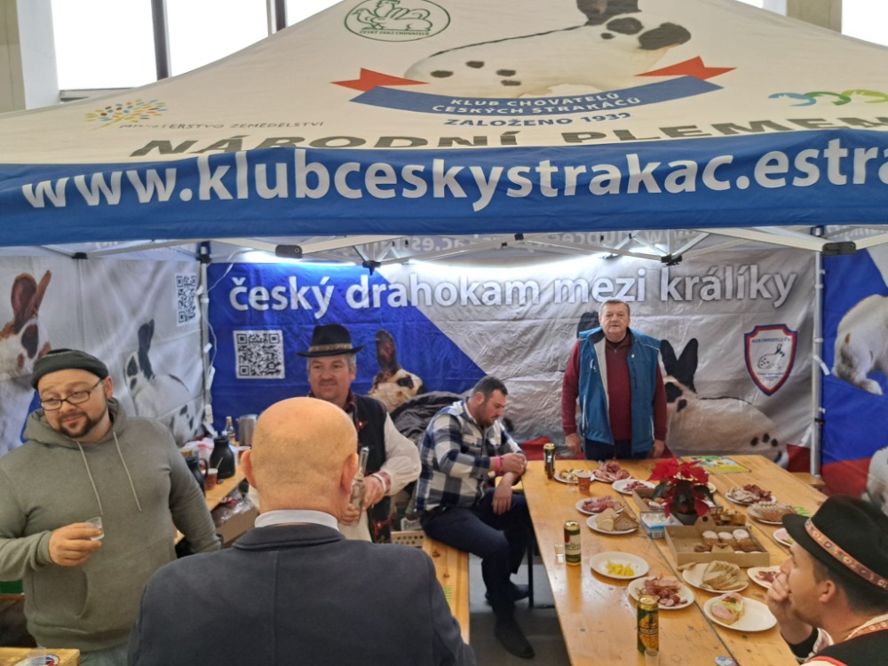 IMG-20241209-WA0012
