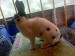 IMG-20250523-WA0005