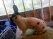 IMG-20250523-WA0003