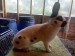 IMG-20250523-WA0007