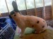 IMG-20250523-WA0004