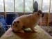 IMG-20250523-WA0008