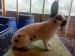 IMG-20250523-WA0006