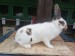 IMG-20250504-WA0032