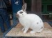 IMG-20250504-WA0037