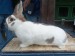 IMG-20250504-WA0040