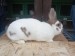 IMG-20250504-WA0042