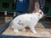 IMG-20250504-WA0046