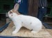 IMG-20250504-WA0050