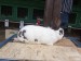 IMG-20250504-WA0048