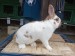 IMG-20250504-WA0051