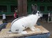 IMG-20250504-WA0056