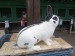 IMG-20250504-WA0055