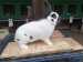IMG-20250504-WA0061