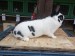 IMG-20250504-WA0063