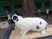 IMG-20250504-WA0057
