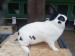 IMG-20250504-WA0060