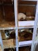 IMG-20250602-WA0009