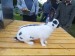 IMG_20250823_090632 (1)