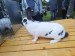 IMG_20250823_090644